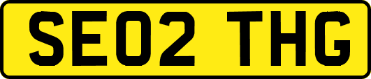 SE02THG