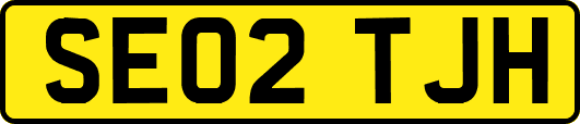 SE02TJH