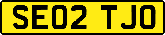 SE02TJO