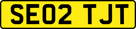 SE02TJT