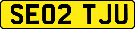 SE02TJU