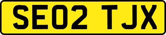 SE02TJX