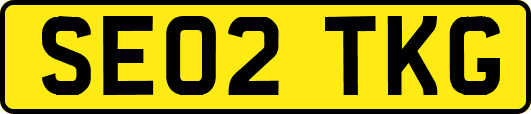 SE02TKG