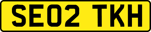 SE02TKH