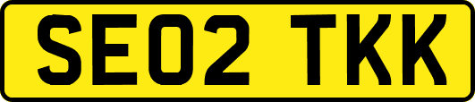 SE02TKK