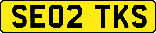 SE02TKS