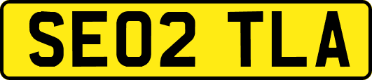SE02TLA