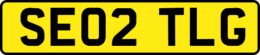 SE02TLG
