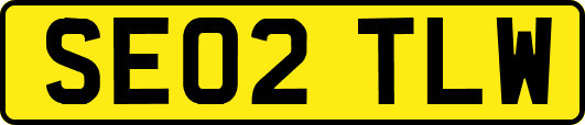 SE02TLW