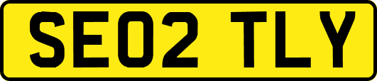 SE02TLY