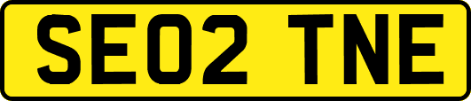 SE02TNE