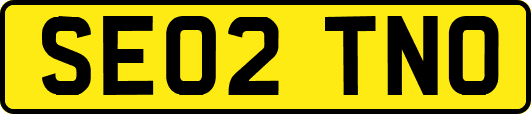SE02TNO