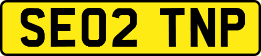 SE02TNP