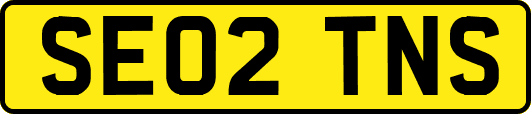 SE02TNS