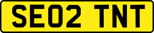 SE02TNT