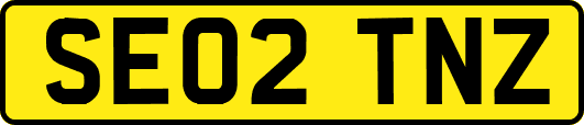 SE02TNZ