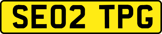 SE02TPG