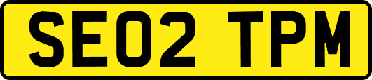 SE02TPM