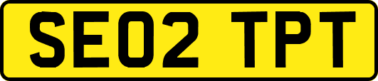 SE02TPT