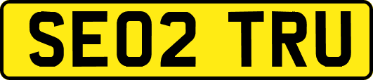 SE02TRU