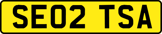 SE02TSA