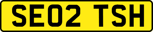 SE02TSH