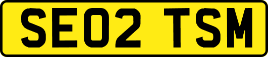 SE02TSM