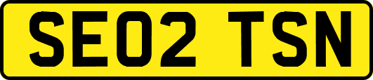 SE02TSN