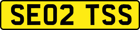 SE02TSS