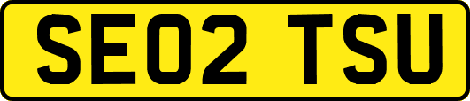 SE02TSU