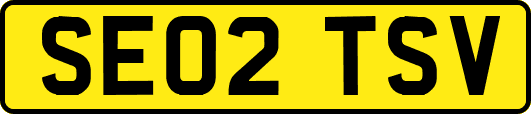 SE02TSV