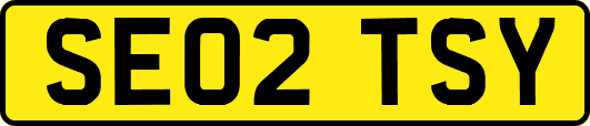 SE02TSY