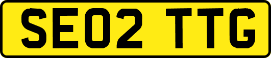 SE02TTG