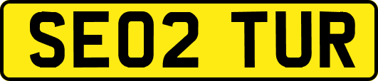 SE02TUR