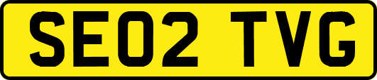 SE02TVG