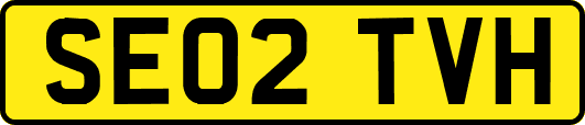 SE02TVH