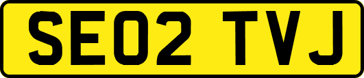 SE02TVJ