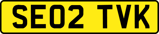 SE02TVK