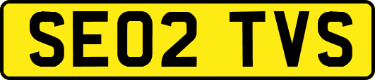 SE02TVS