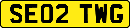SE02TWG