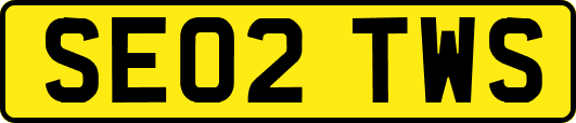 SE02TWS