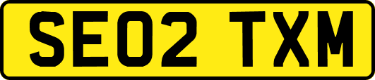 SE02TXM