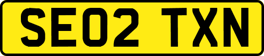 SE02TXN