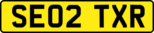 SE02TXR