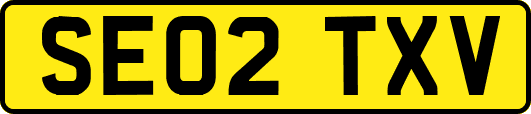SE02TXV