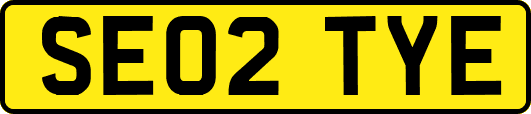 SE02TYE