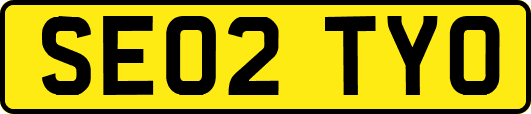 SE02TYO