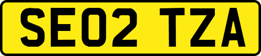 SE02TZA