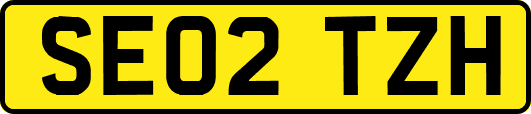 SE02TZH