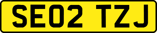 SE02TZJ